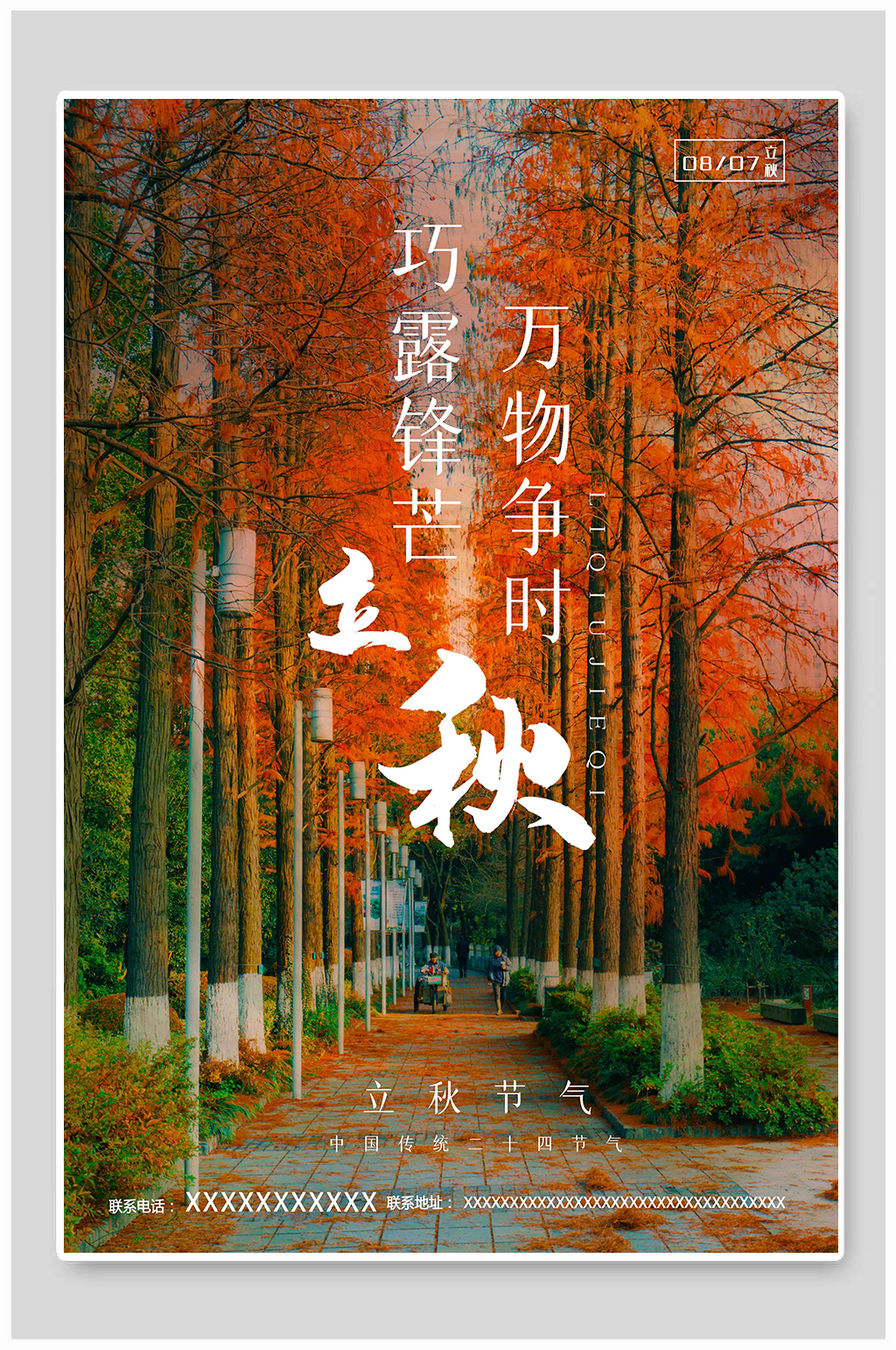 立秋枫树橘色简约海报素材