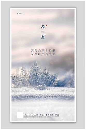 简约冬天冬至吃饺子冬至节气海报冬至海报
