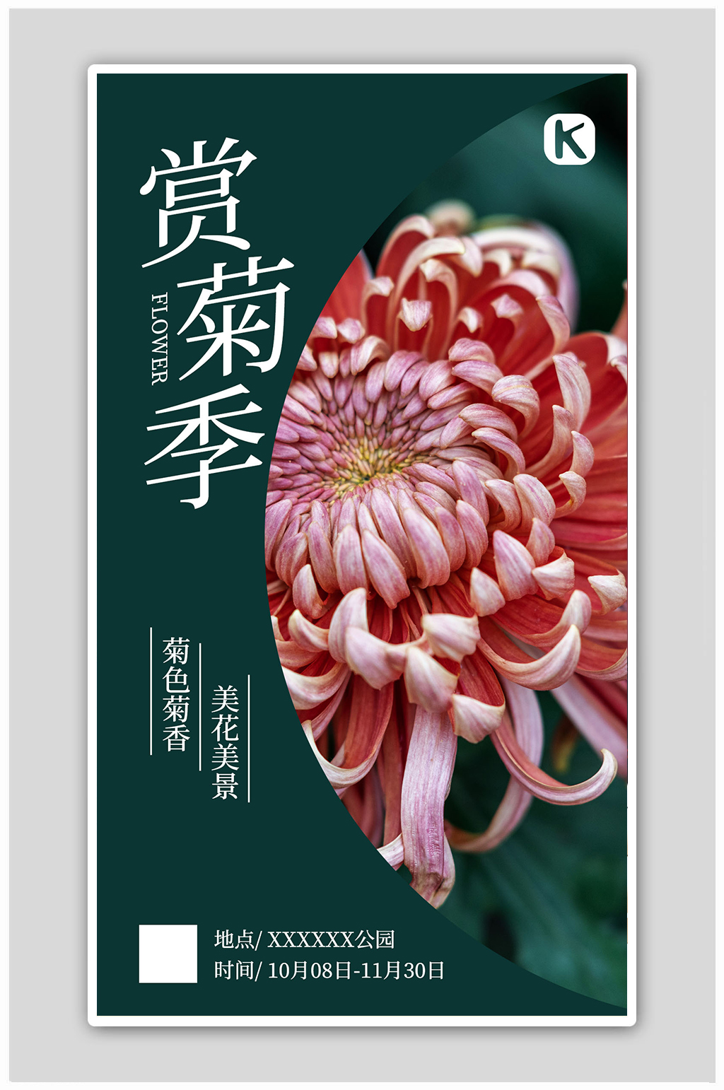 赏菊菊花深绿色简约海报素材