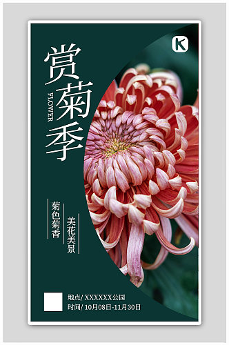 赏菊菊花深绿色简约海报