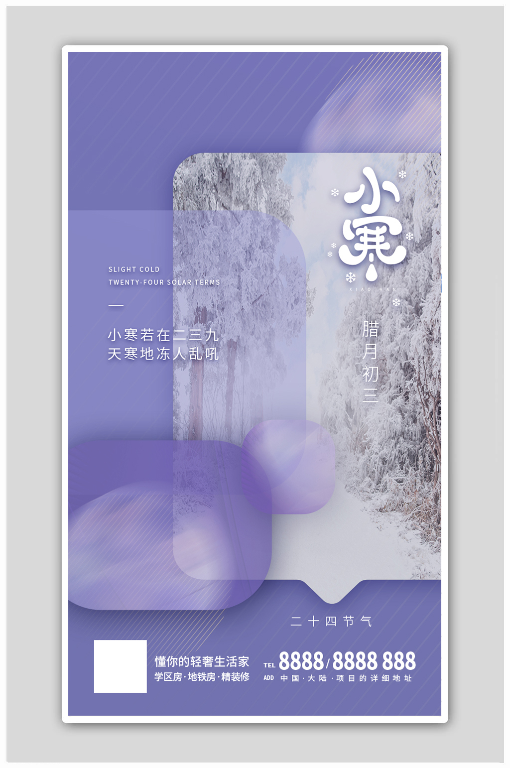 小寒大寒24节气冬季冬天长春花蓝h5海报素材