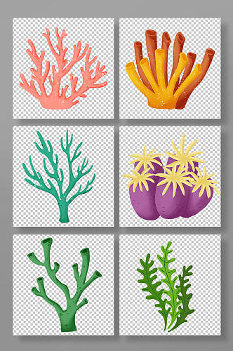 珊瑚海草海葵藻类海底植物元素插画