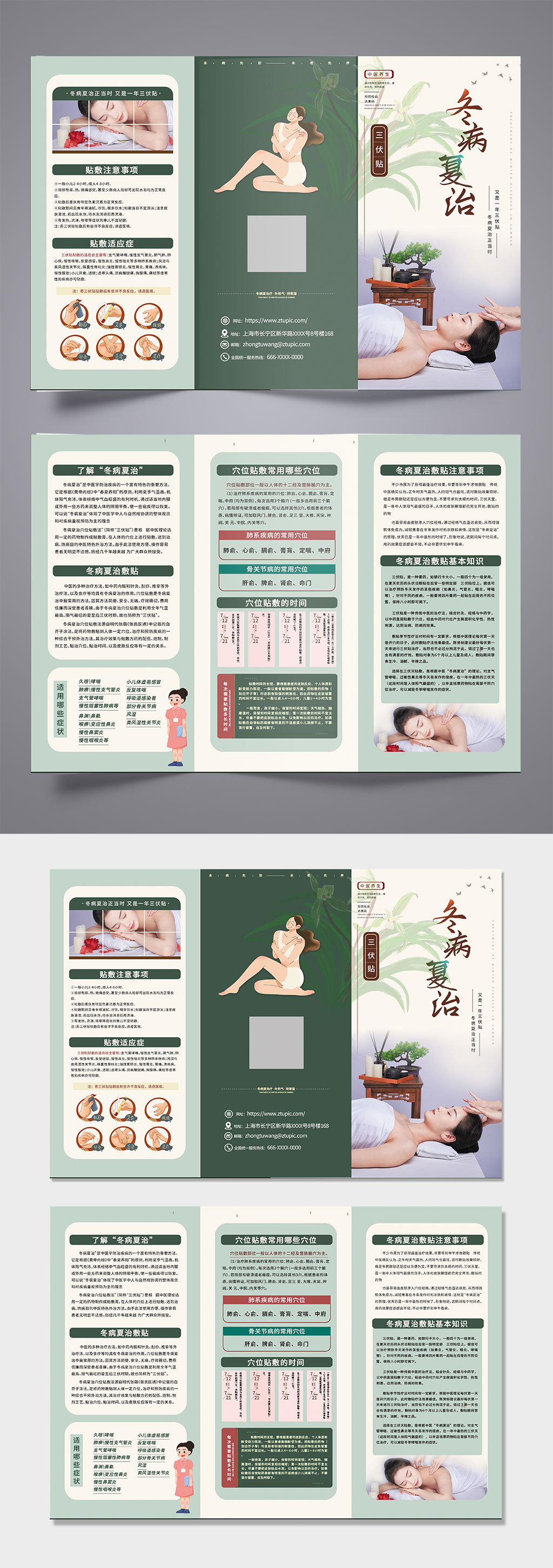冬病夏治中药传统中医养生保健三折页素材