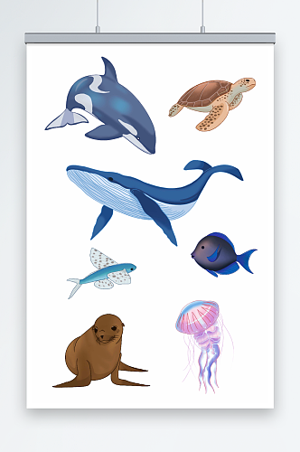 写实海洋海底动物生物元素插画