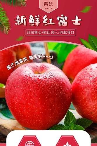 冬季水果红苹果红富士营养健康绿色详情页