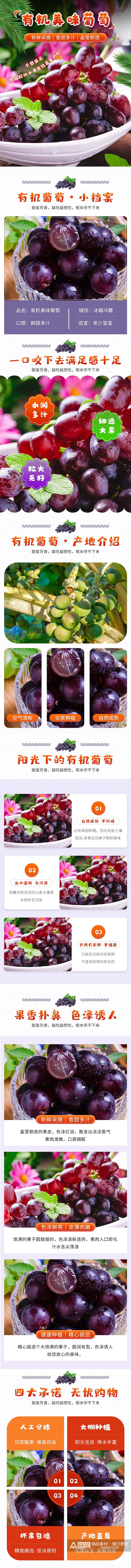 小清新有机营养美味葡萄新品水果蔬菜详情页素材