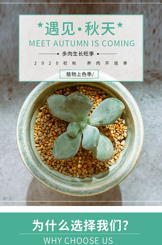 原创小清新简约家居绿植盆栽多肉详情页