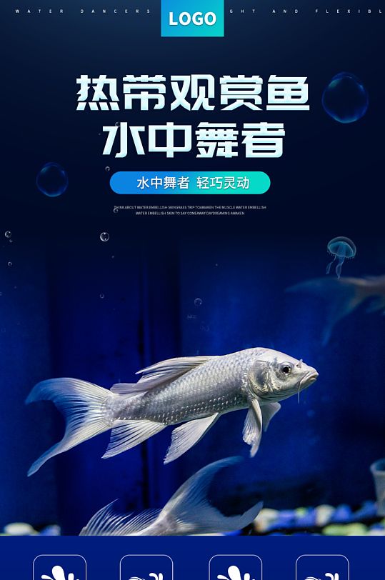 观赏性水族生物宠物鱼热带观赏鱼 宠物详情页模板