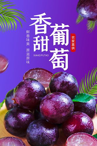 电商简约风夏黑新鲜葡萄水果食品详情页