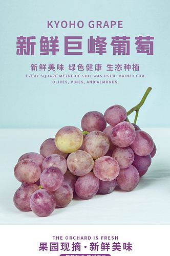 简约紫色生鲜水果巨峰葡萄详情页