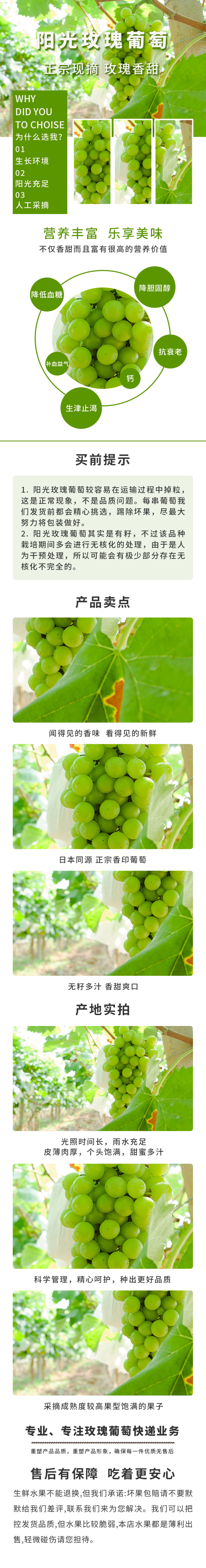 简约绿色阳光玫瑰葡萄详情页素材