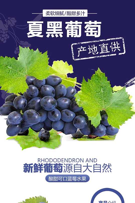 简约风格蓝色夏黑新鲜葡萄水果食品电商详情