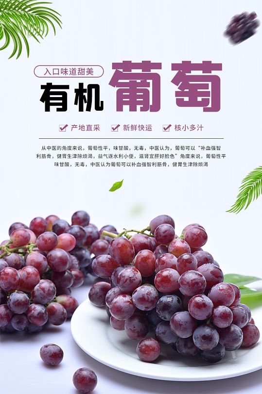 简约风紫色葡萄电商淘宝详情页