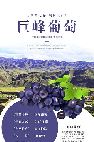 紫色小清新巨峰葡萄生鲜水果详情页