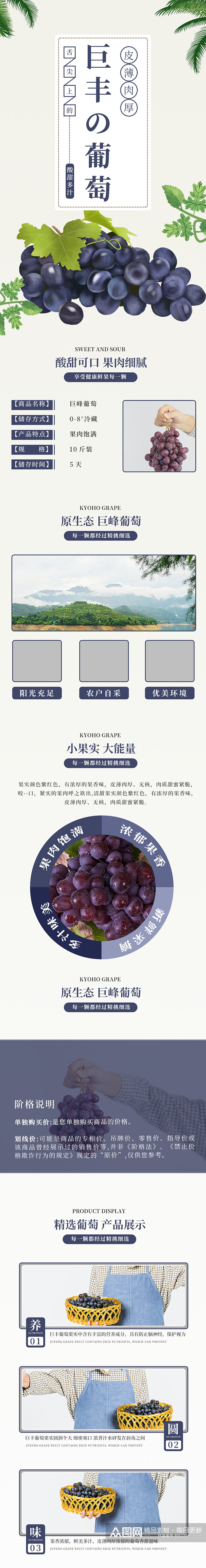 紫色巨峰葡萄电商淘宝详情页模板食品茶饮素材