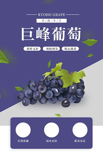 紫色简约巨峰葡萄生鲜水果详情页