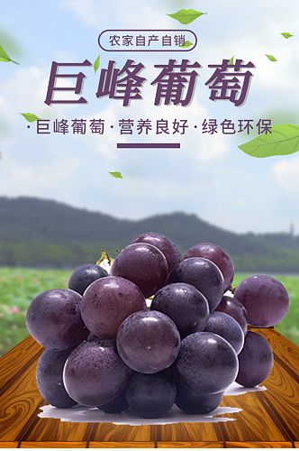 紫色简约巨峰葡萄详情页