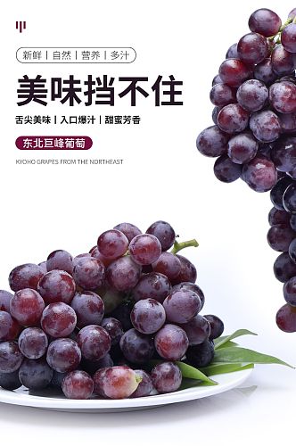 葡萄提子水果蔬菜生鲜食品详情页简约白色
