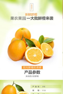 淘宝电商赣南橙柑橘橙子水果生鲜详情页