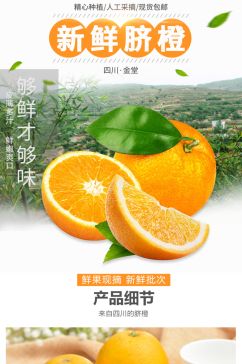电商淘宝脐橙橙子生鲜水果详情页