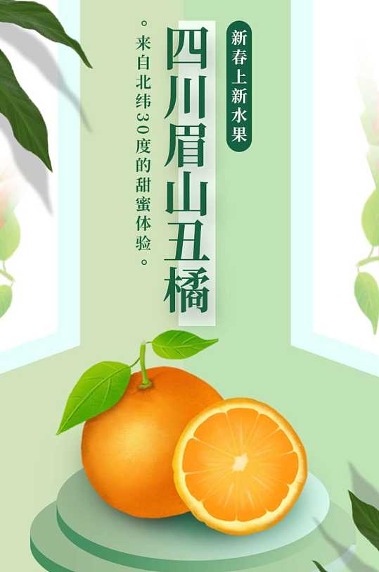 食品生鲜水果丑橘橘子桔子脐橙柑橘橙子详情