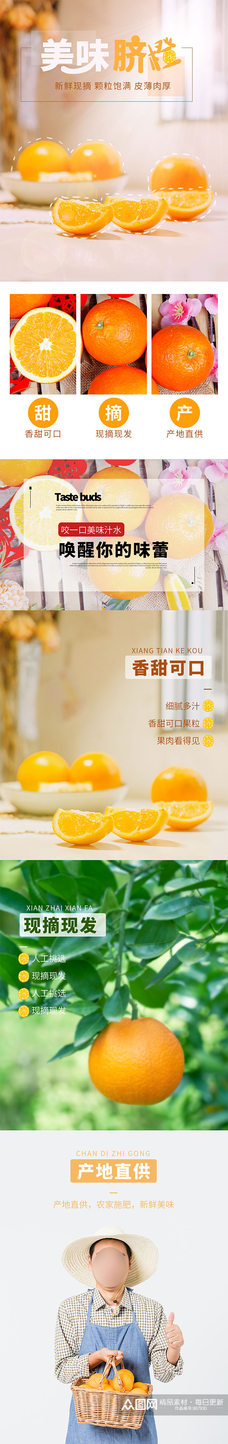 橙子电商淘宝详情页生鲜水果素材