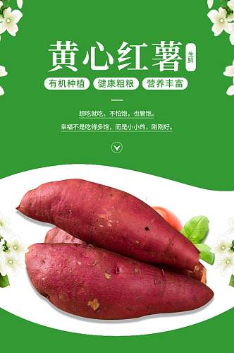 食品生鲜黄心红薯紫薯地瓜蔬菜水果详情页