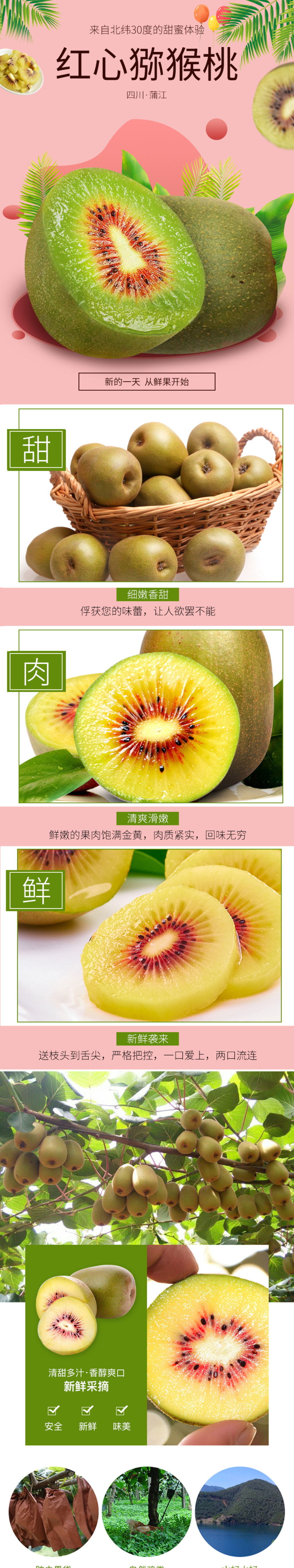 电商淘宝红心猕猴桃水果生鲜详情页素材