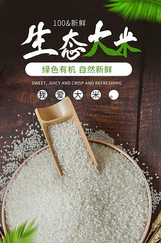 淘宝电商中国风食品大米美食详情