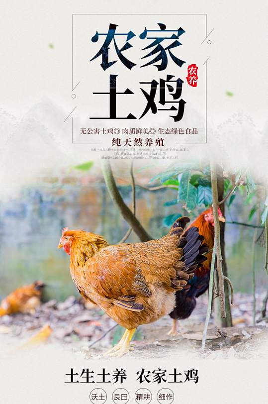 山村农村散养土鸡详情页描述模板