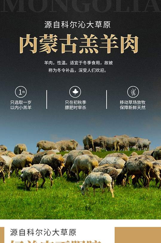 羊肉详情羊排羊羔肉描述蒙古羊肉羊羔详情