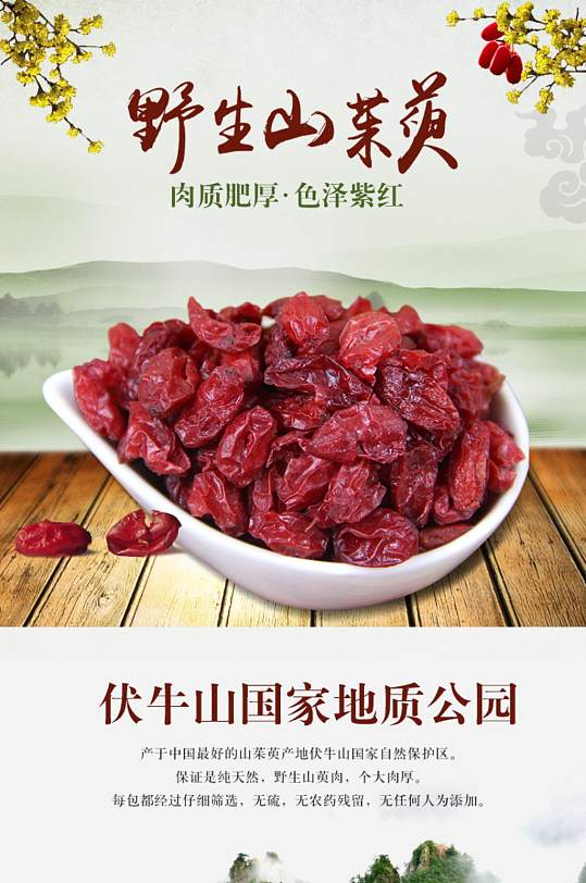时尚简约风中药草山茱萸淘宝详情页模板