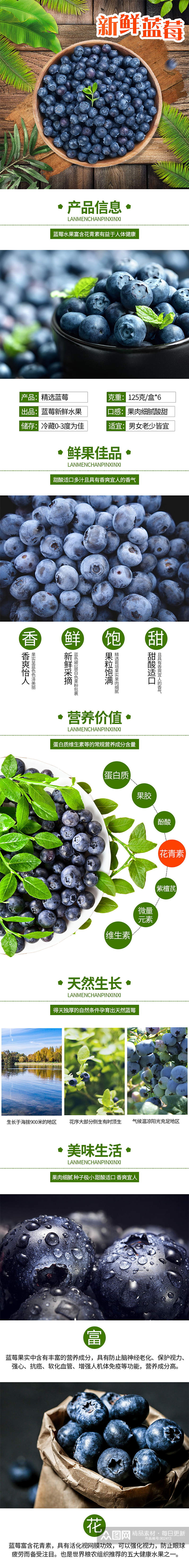 详情页水果清新简约新鲜蓝莓绿叶素材
