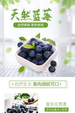 电商详情页简约水果天然蓝莓绿叶