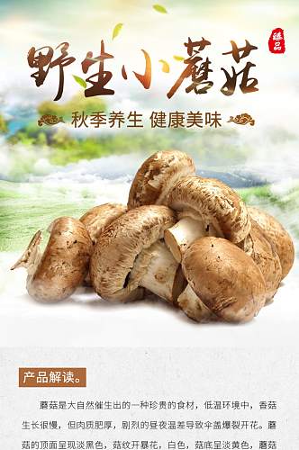 中国风秋季养生蘑菇详情页模板