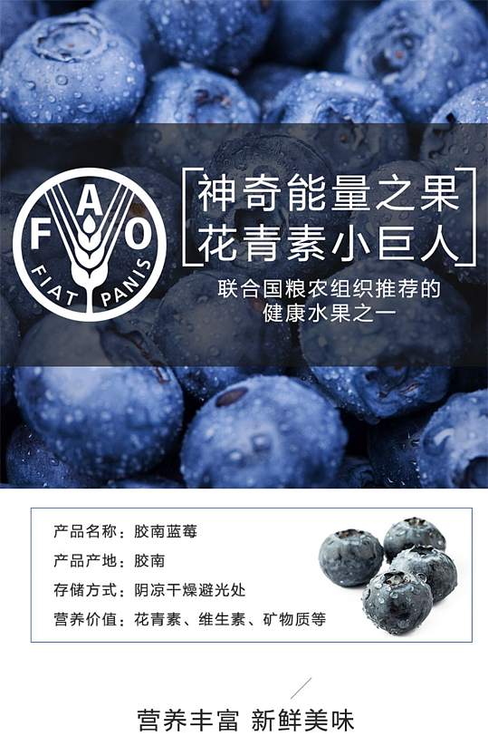 电商蓝莓水果淘宝详情页模板