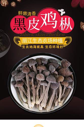 黑皮鸡枞食品菌子菌菇详情页