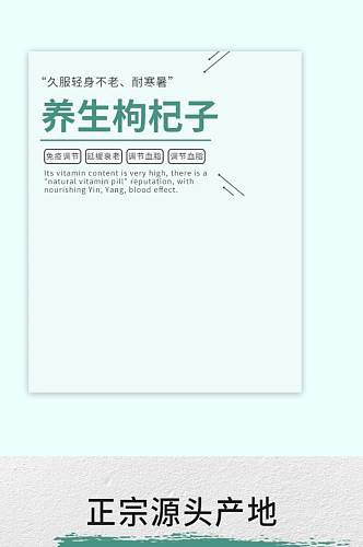 淘宝食品茶饮养生枸杞子古风简约详情页