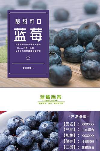 淘宝水果生鲜蓝莓详情页
