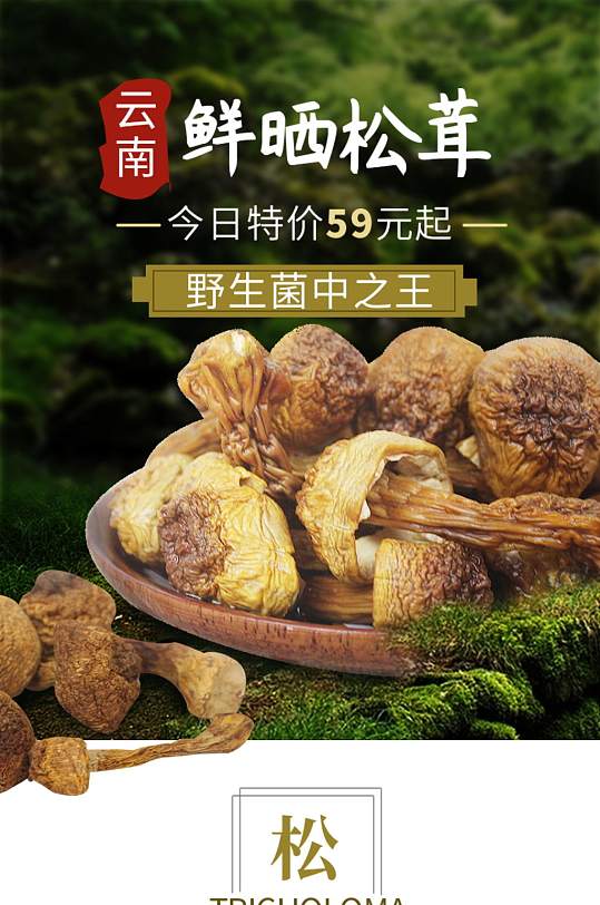 松茸详情食品干货源文件