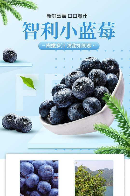 天猫蓝色小清新风格蓝莓详情页