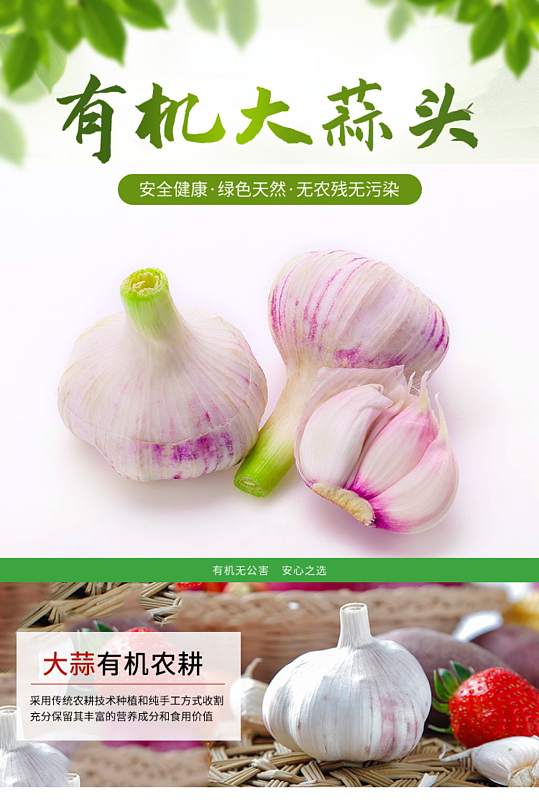 紫皮金乡大蒜详情页产品天然有机蔬菜