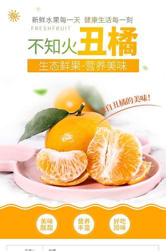 丑橘水果食品详情