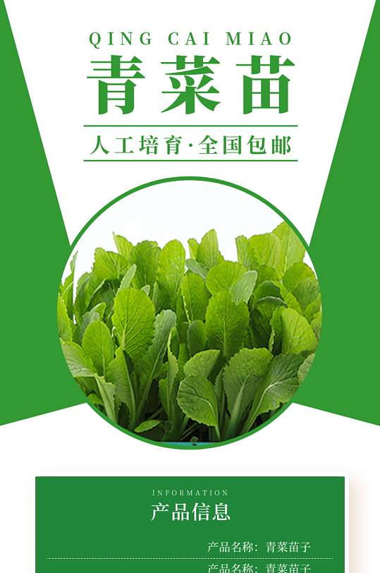 盆栽青菜苗子果苗蔬菜秧子详情页