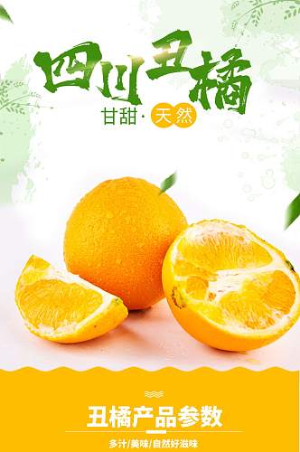 丑橘橘子不上火水果详情页