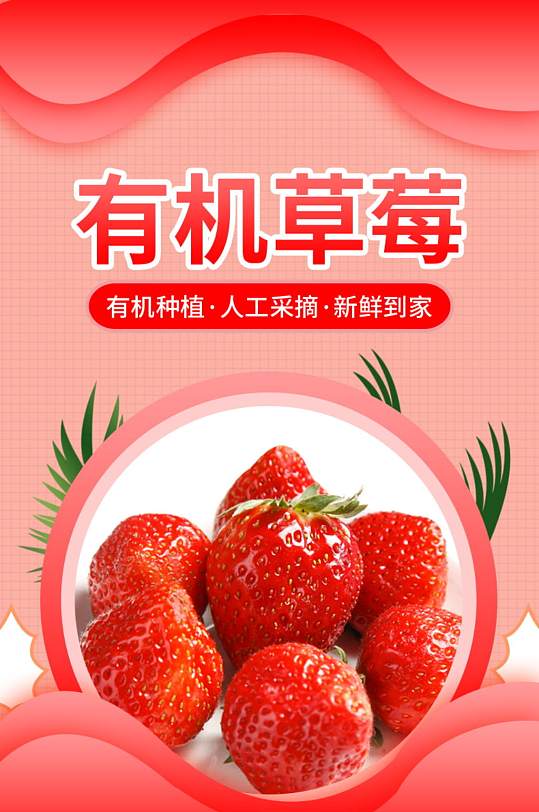 水果生鲜草莓西瓜西红柿番茄电商详情页