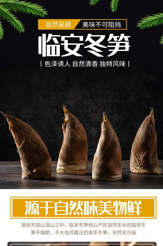 淘寶新鮮野生竹筍冬筍有機(jī)蔬菜詳情頁