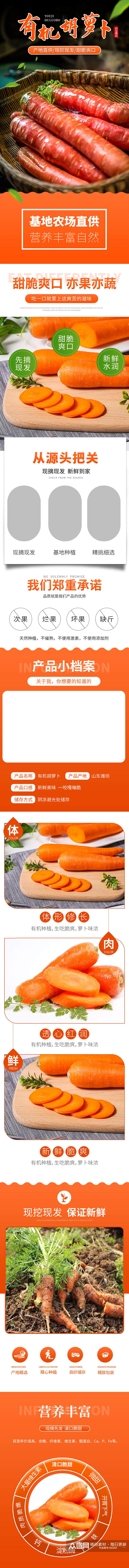 简约蔬菜胡萝卜蔬菜详情页模板素材