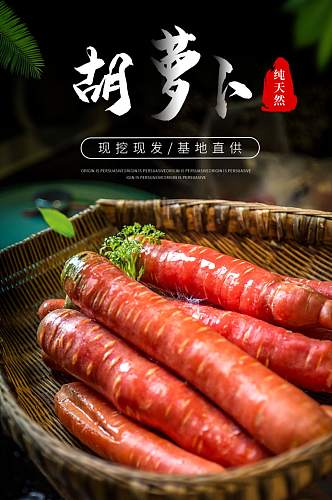 食品生鲜蔬菜水果胡萝卜详情页