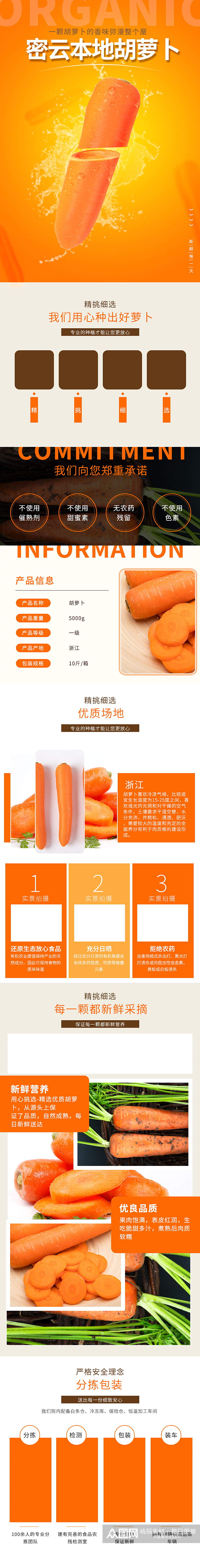 橙色有机蔬菜胡萝卜食品描述详情页素材